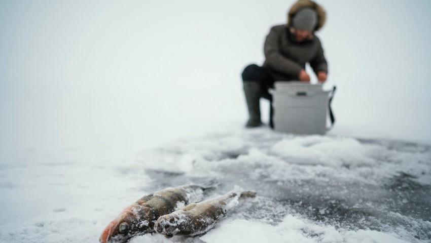 Снаряжение для зимней рыбалки в «Груперс»